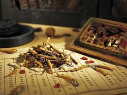 伝統医学：漢方