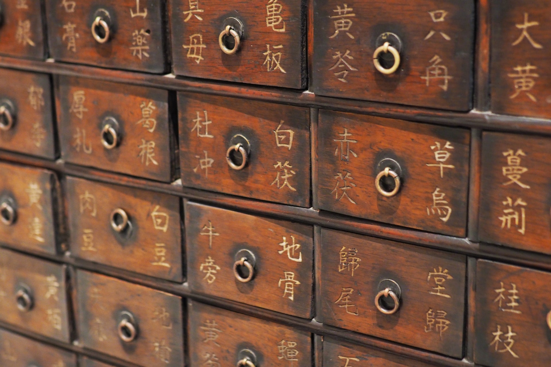 日本の医療の源流「中国医学」